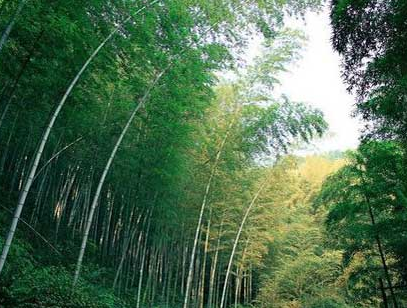 信陽固始西九華山拓展基地